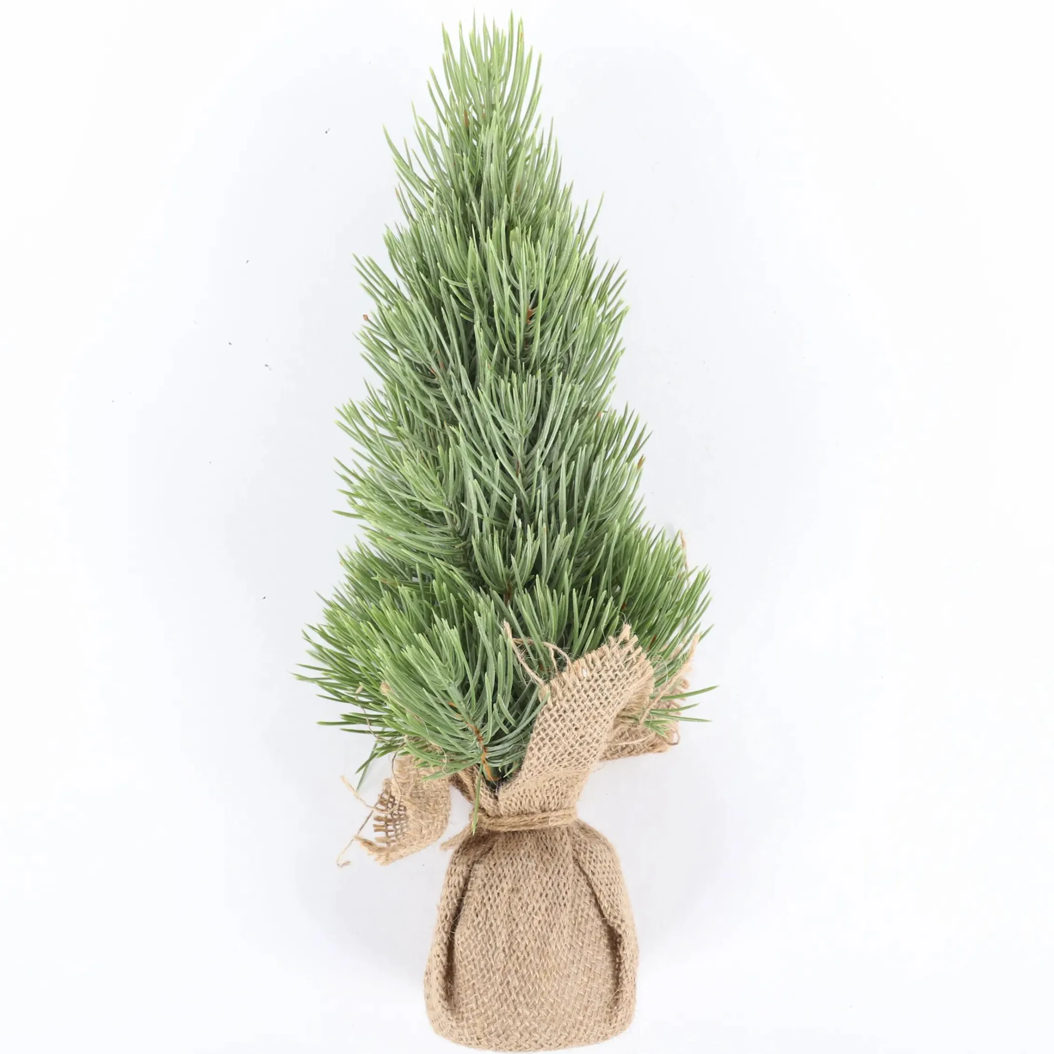 Deko Artikel Dekotanne für Innen 33cm