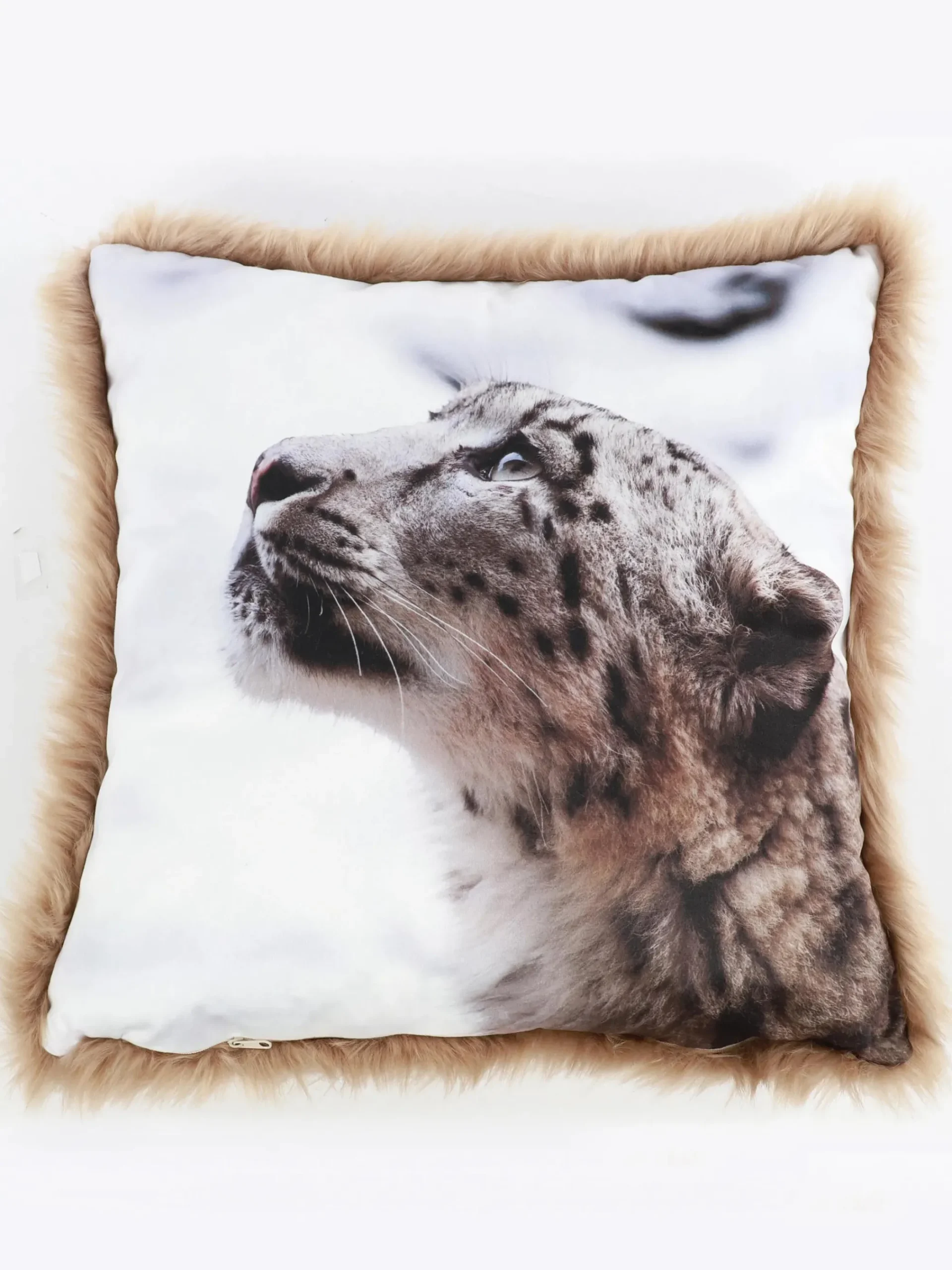 Dream House Fotokissen 45x45cm