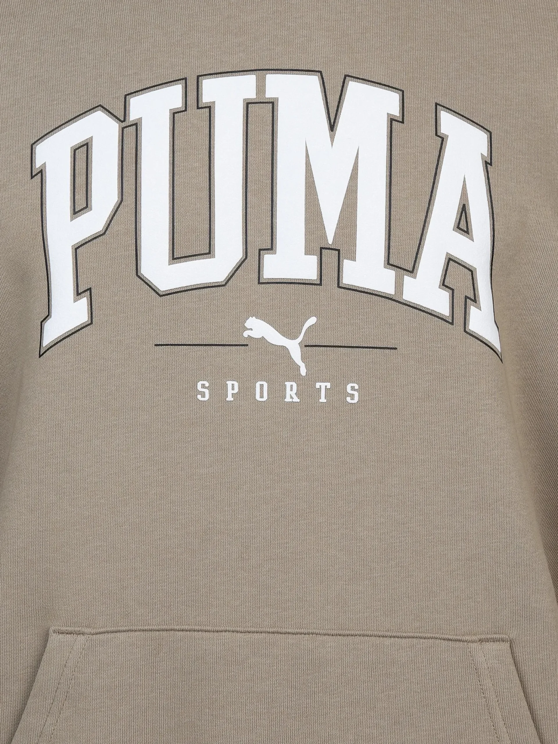 Herren Puma Herren Sport Hoodie