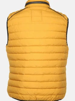 Herren Jim Spencer Herren Steppweste