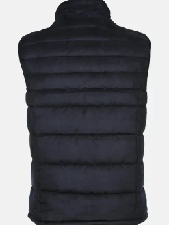 Herren Jim Spencer Herren Steppweste in Velour Optik