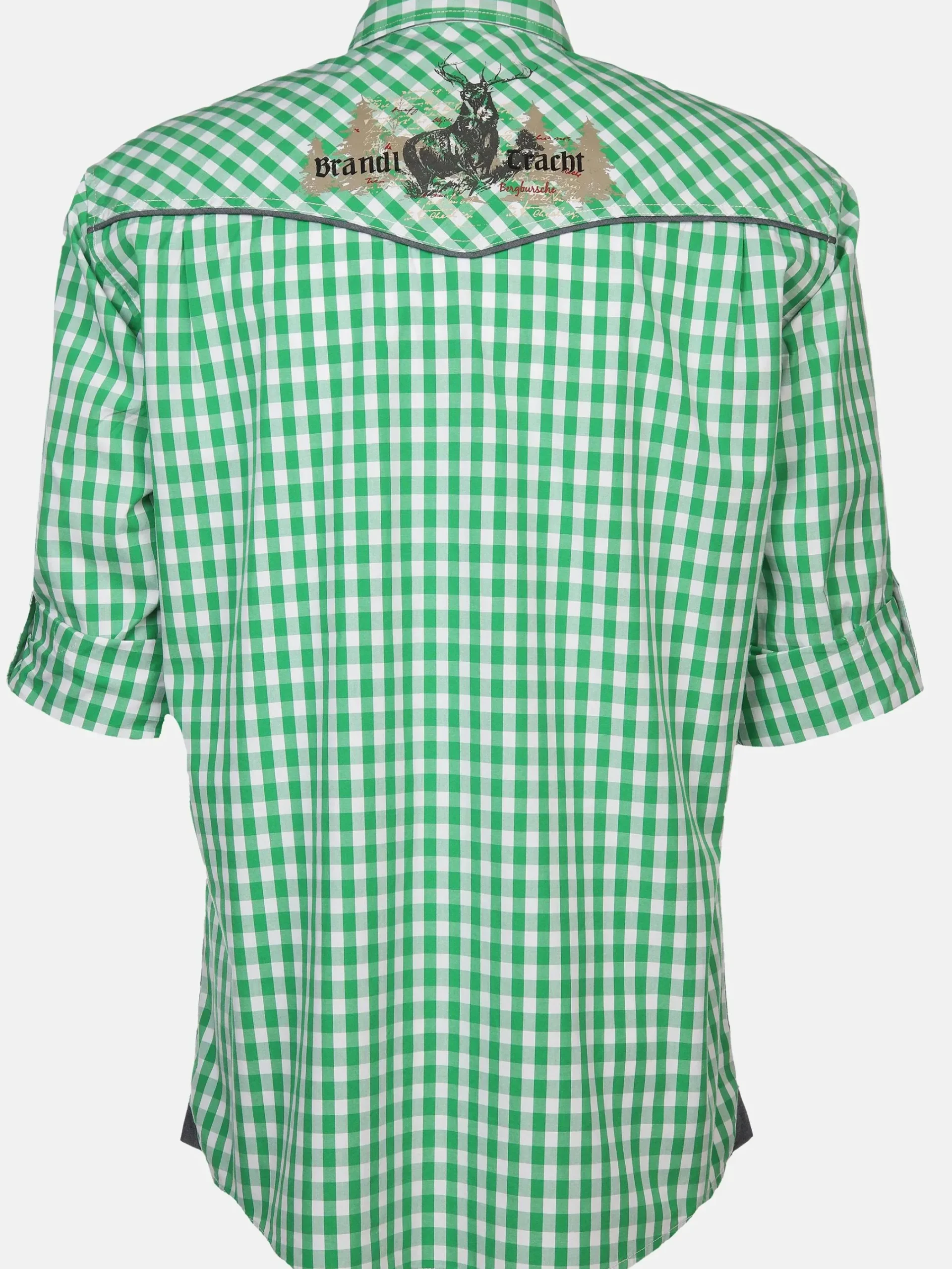 Herren Brandl Tracht Herren Trachtenhemd im Karostyle