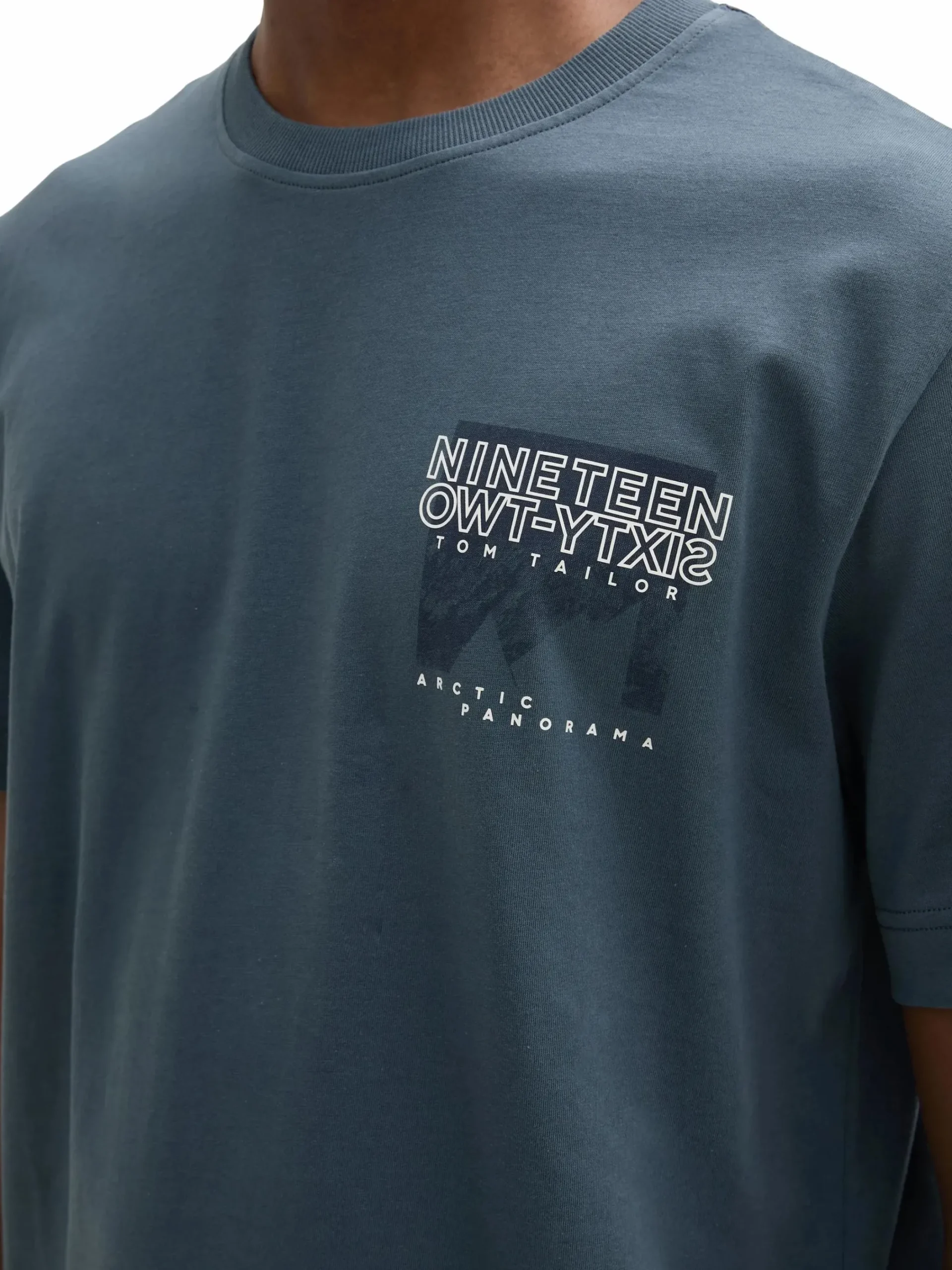 Herren Tom Tailor Herren T-Shirt mit kleinem Print