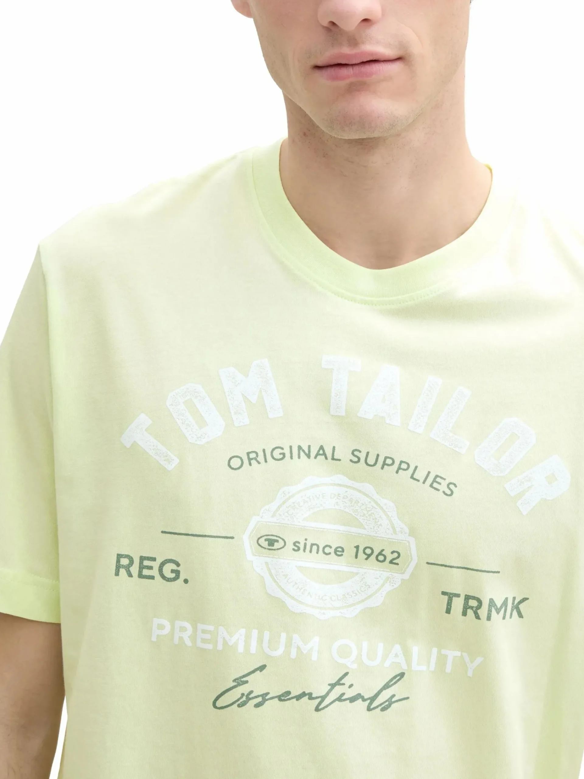 Herren Tom Tailor Herren T-Shirt mit Print