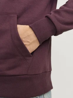 Herren Jack Jones Jack & Jones JJECALEB VARSITY SWEA Hoodie