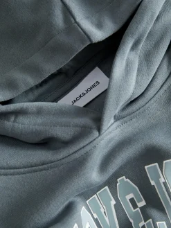 Herren Jack Jones Jack & Jones JJMAKO SWEAT Hoodie