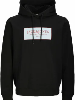 Herren Jack Jones Jack & Jones JORGREENE SWEAT Hoodie