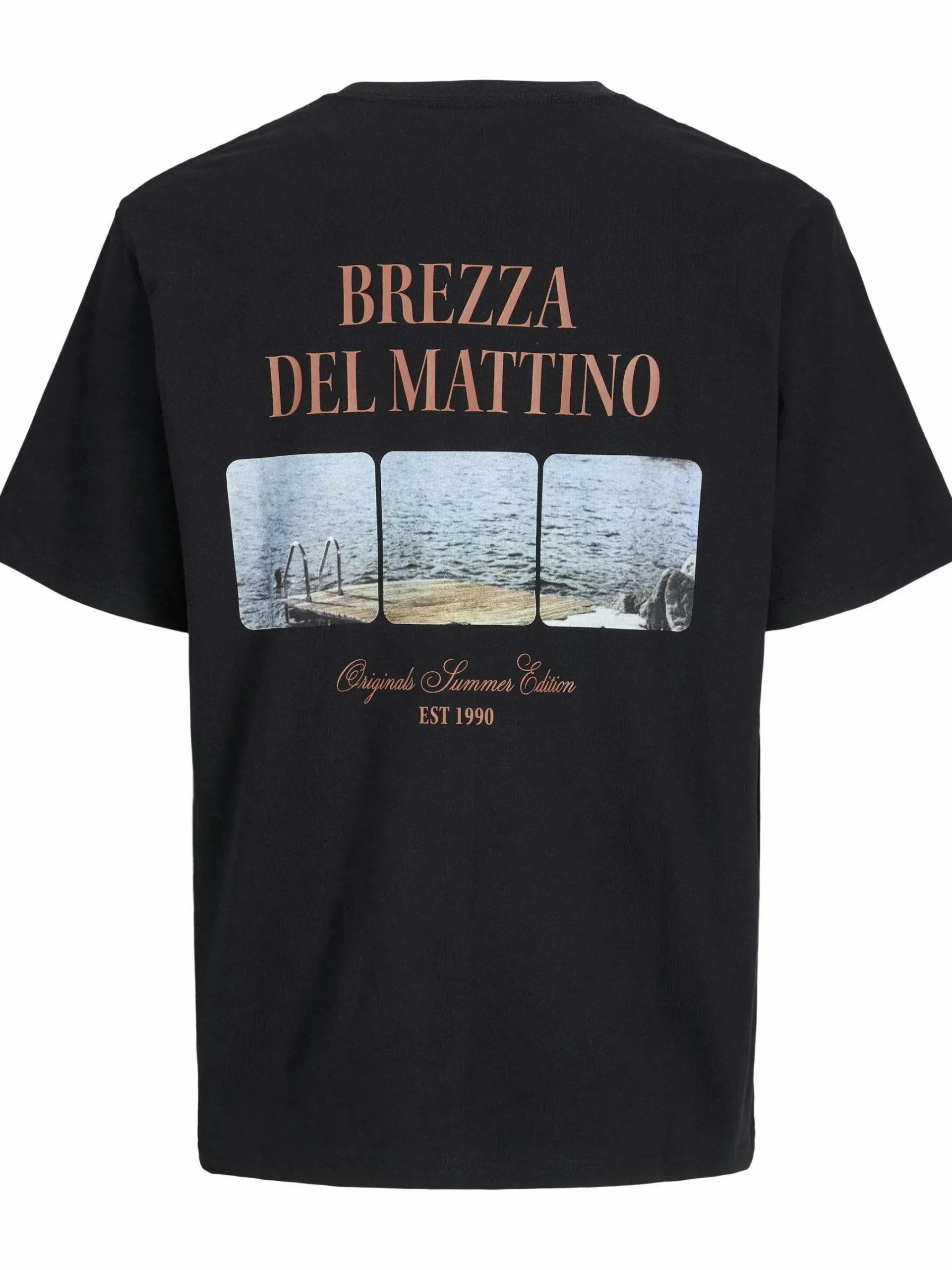 Herren Jack Jones Jack & Jones JORHYDRA PHOTO TEE SS T-Shirt