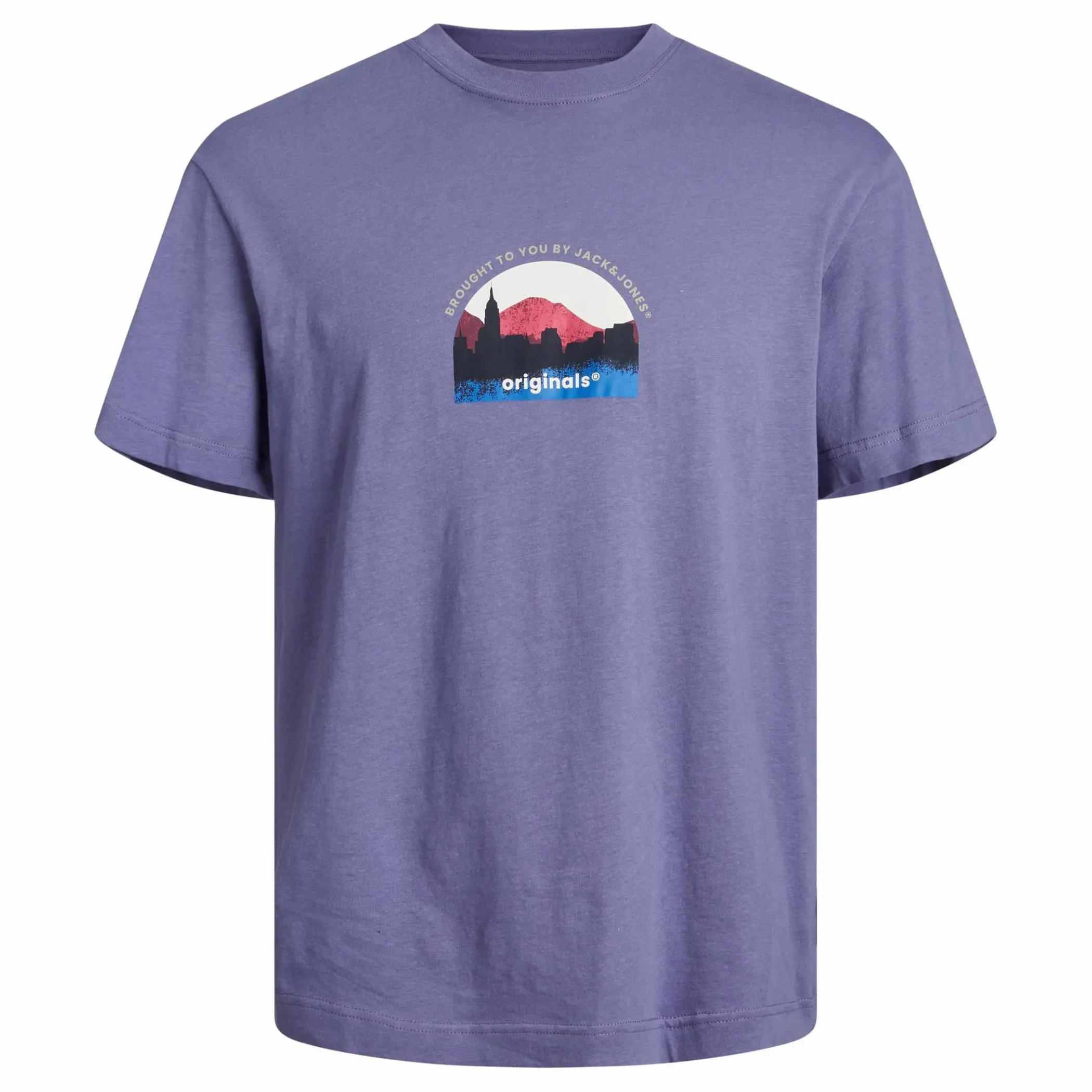 Herren Jack Jones Jack & Jones JORSILVERLAKE GRAPHIC Shirt