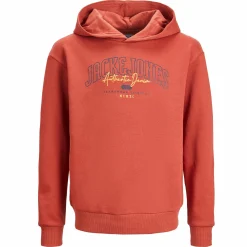 Kinder Jack&Jones Junior JJLARRY SWEAT HOOD JN Hoodie