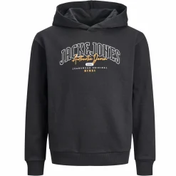 Kinder Jack&Jones Junior JJLARRY SWEAT HOOD JN Hoodie