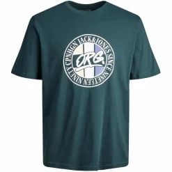 Kinder Jack&Jones Junior JORARTHUR TEE SS CREW T-Shirt
