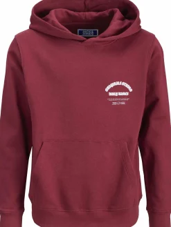 Kinder Jack&Jones Junior JORMEADOWS Hoodie