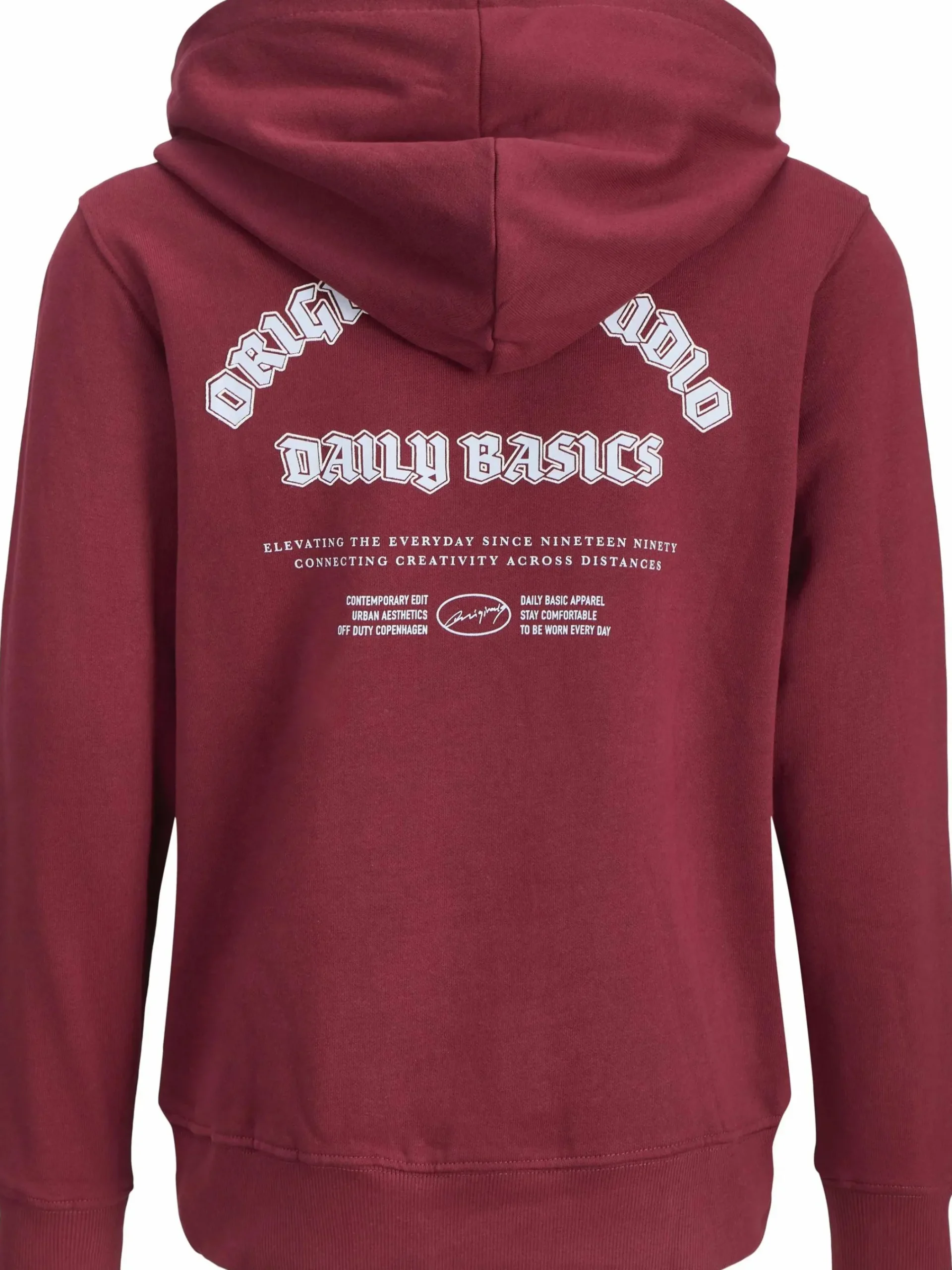 Kinder Jack&Jones Junior JORMEADOWS Hoodie