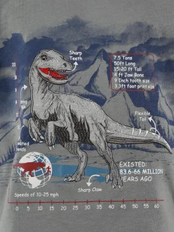 Kinder Bubble Gum Jungen Shirt mit Frontprint und Stickerei