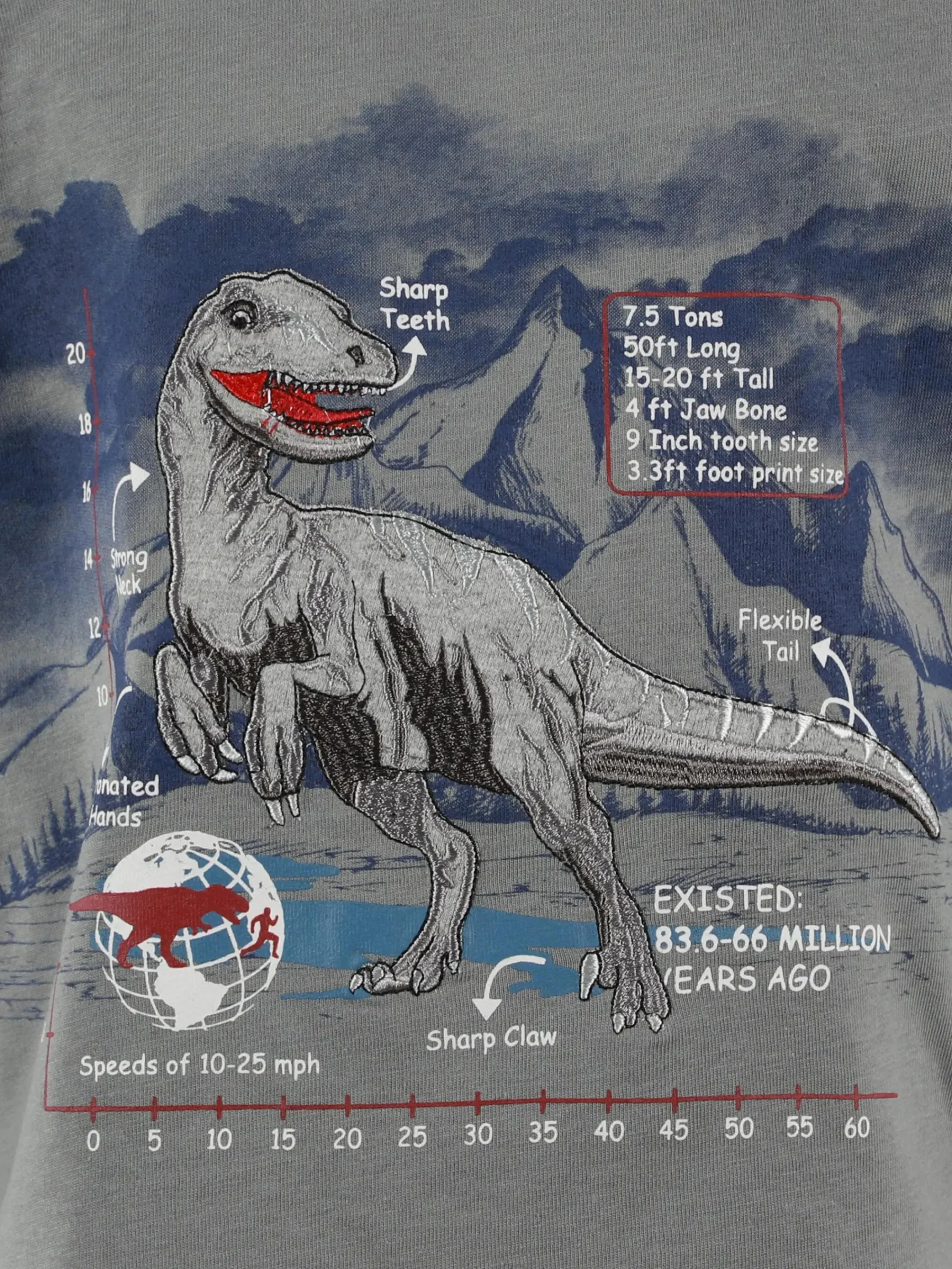 Kinder Bubble Gum Jungen Shirt mit Frontprint und Stickerei