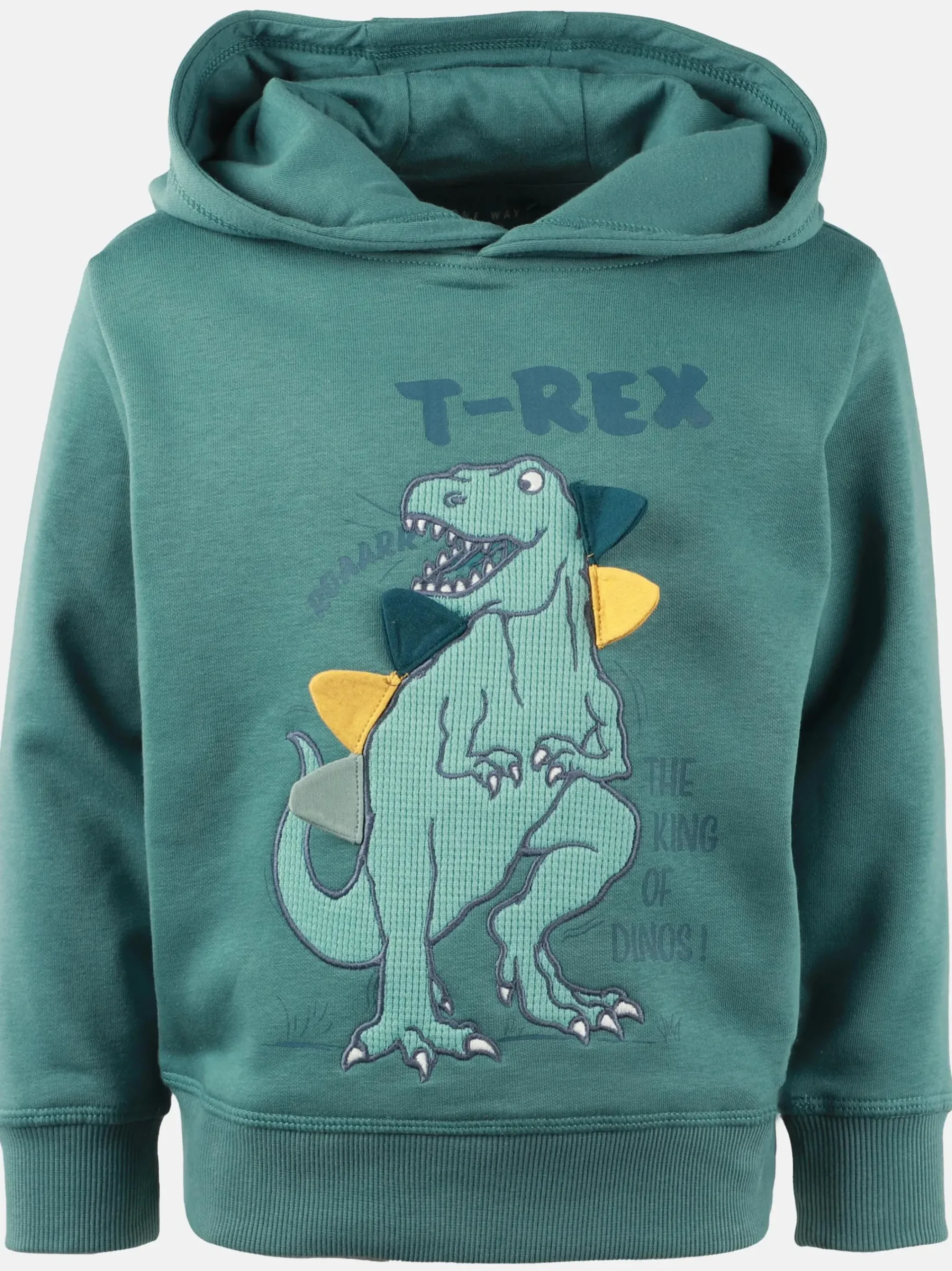 Kinder One Way Jungen Sweat-Hoodie mit Dinomotiv