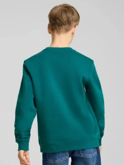 Kinder Puma Jungen Sweatshirt mit Frontprint