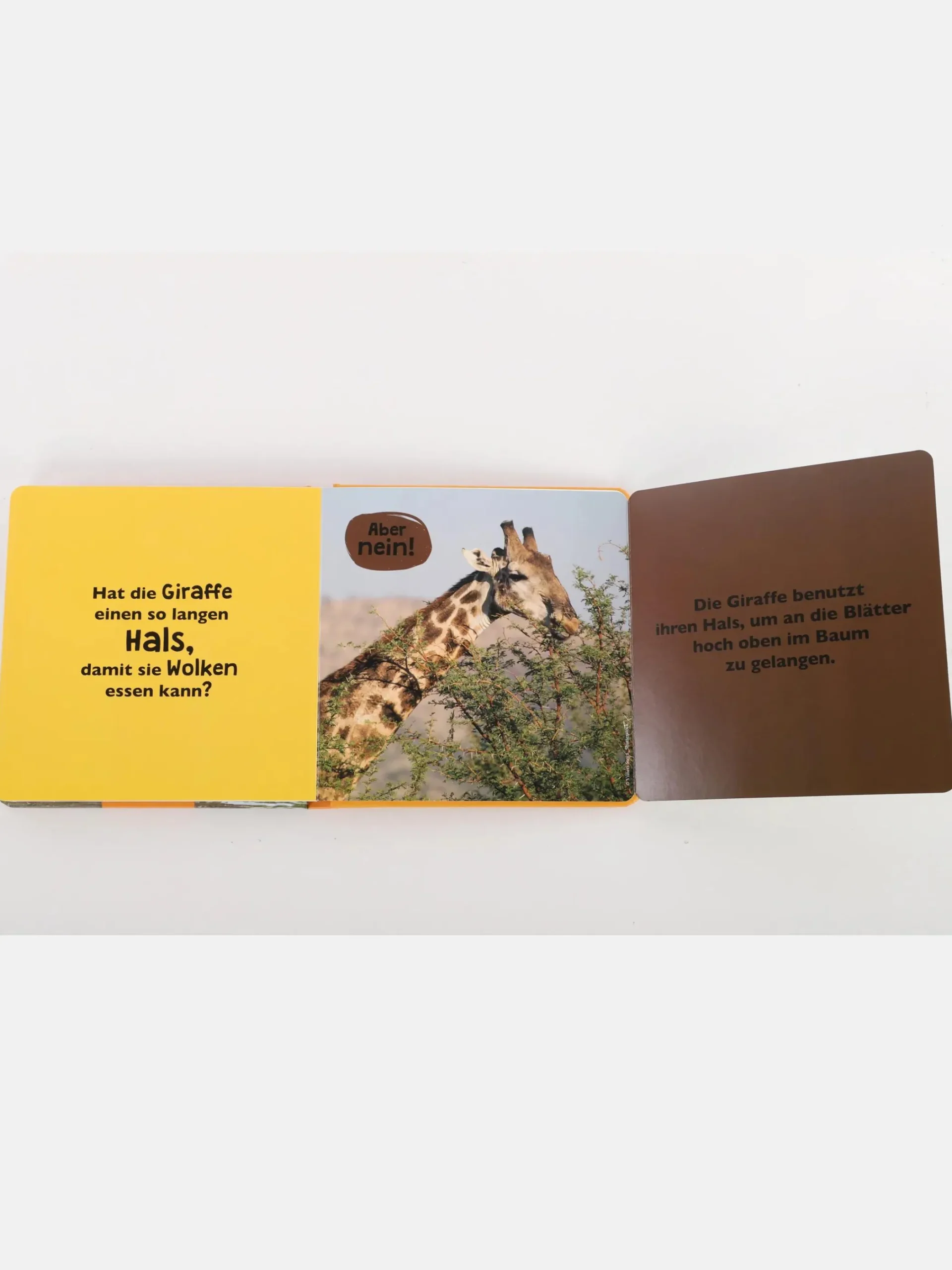 Kinder Bücher Kleinkinder Buch " Was meinst du"