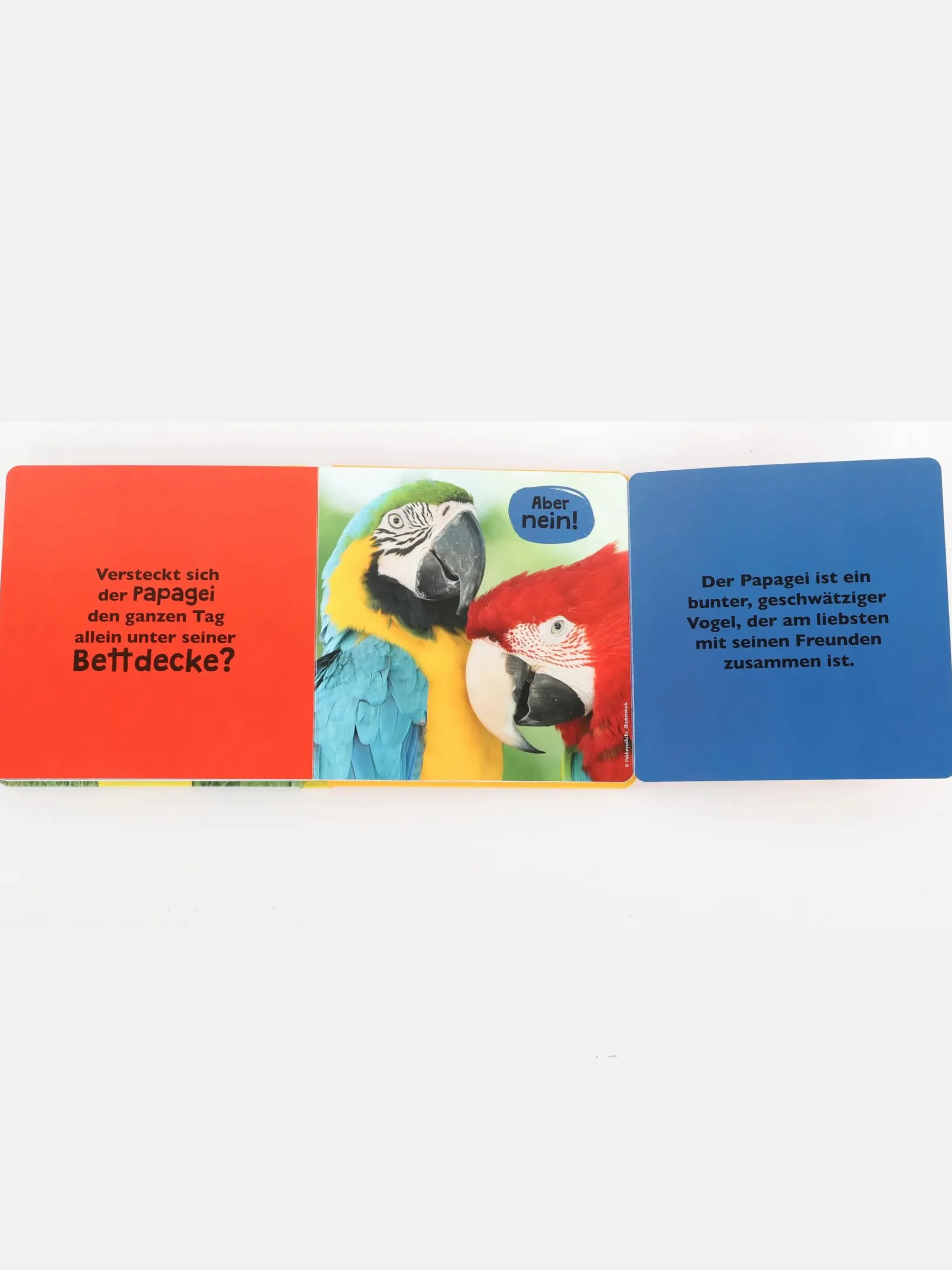 Kinder Bücher Kleinkinder Buch " Was meinst du"