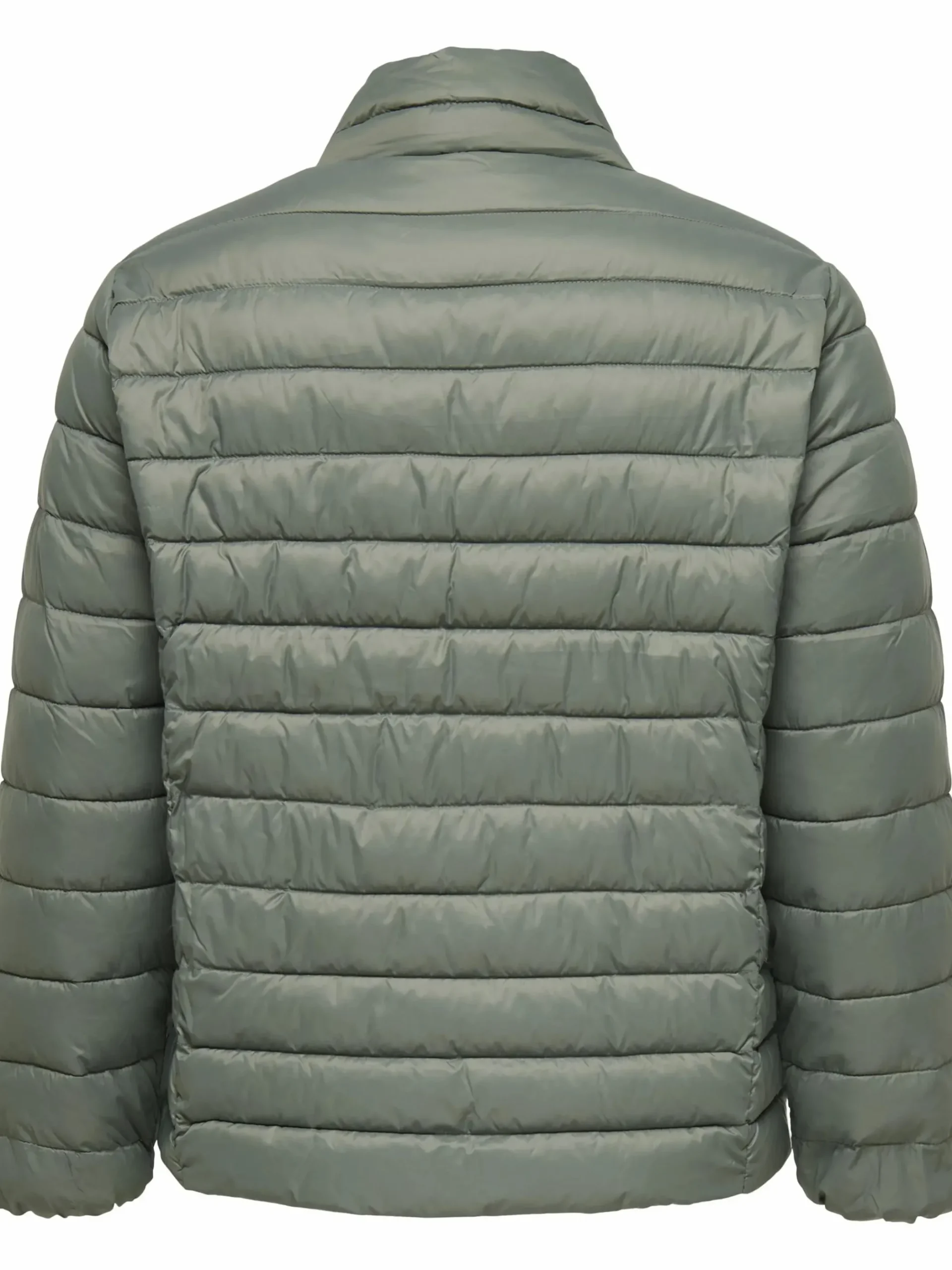 Damen Only Carmakoma CARTAHIA LW QUILTED Steppjacke