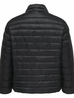 Damen Only Carmakoma CARTAHIA LW QUILTED Steppjacke